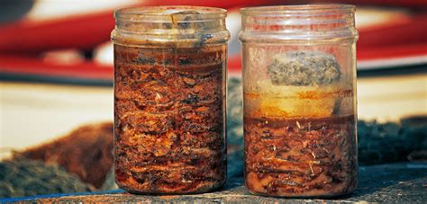 fermented fish|Fermented Fish Foods .